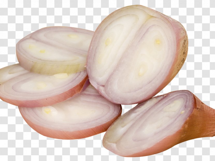 Shallot Image Vegetable Stock Photography Transparent PNG