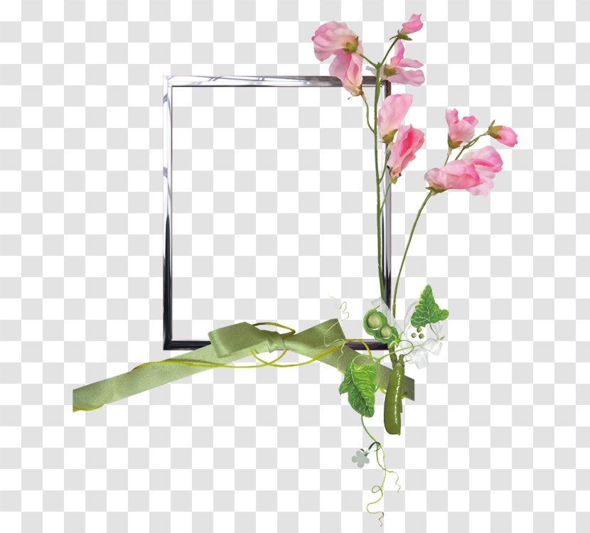 Flower Image Design Drawing Transparent PNG