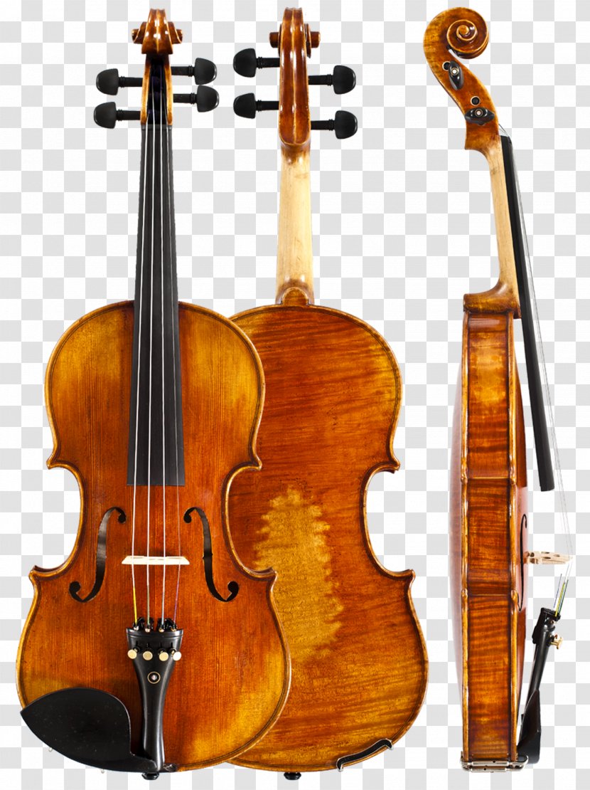 Amati Violin Musical Instruments String Stradivarius Transparent PNG