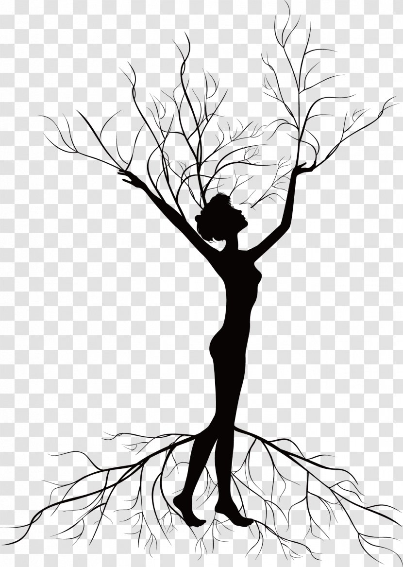 Tree Euclidean Vector Illustrator Illustration - Branch Transparent PNG