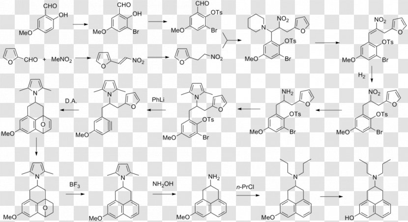 Intracellular TRPV1 Cell Signaling ResearchGate GmbH - Text - Synthesis Transparent PNG