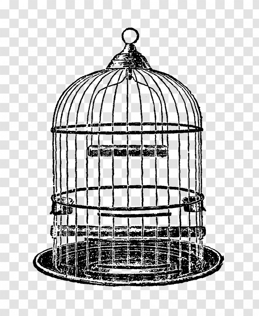 Parrot Birdcage Clip Art - Black And White Transparent PNG