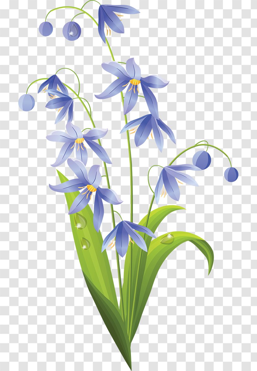 Easter Lily Flower - Flowering Plant - Snowdrop Transparent PNG