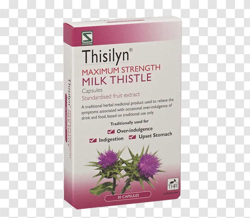 Milk Thistle Dietary Supplement Tablet Pharmaceutical Drug - Herbal Transparent PNG