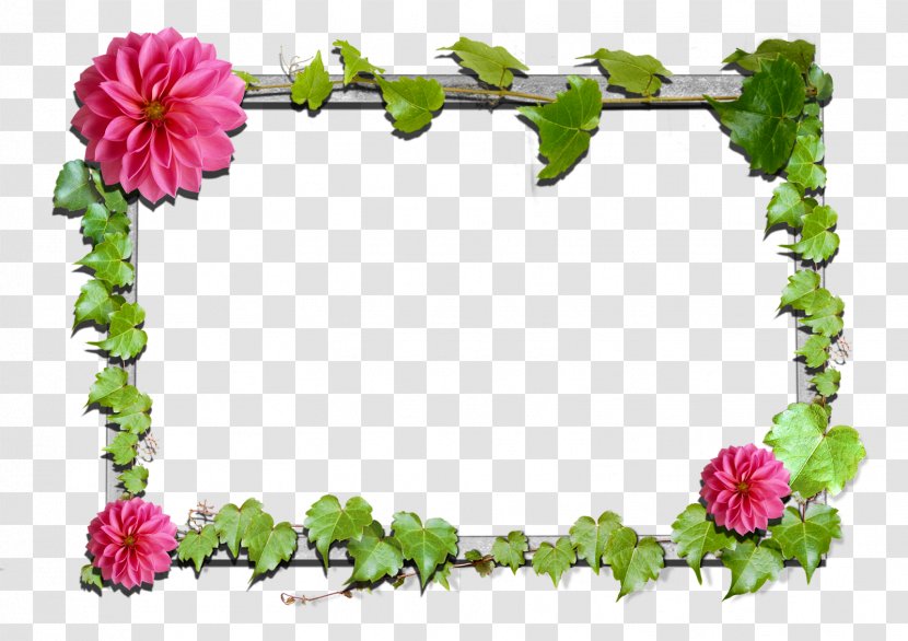 Picture Frames Pink Flowers Clip Art - Rose Family - Flower Frame Transparent PNG
