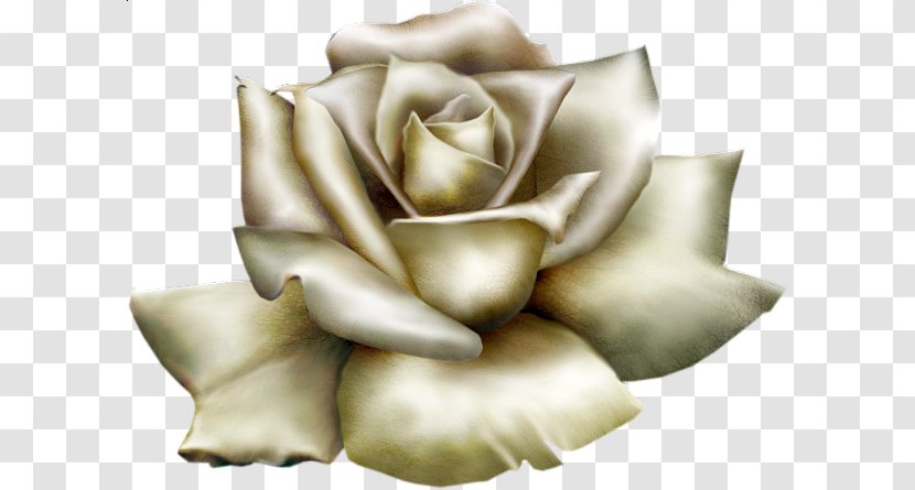 Clip Art Free Content Image Transparency - Petal - Beautiful Roses Transparent PNG