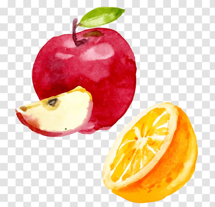 Orange Juice - Food - Drawing Vector Apples And Oranges Combination Transparent PNG