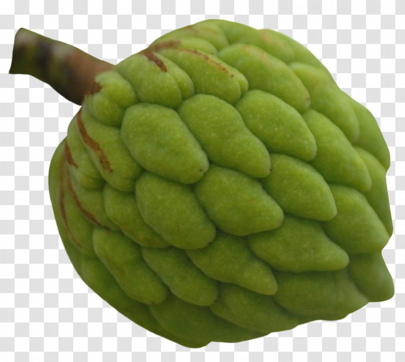 Sugar-apple Cherimoya Fruit - Apple - Custard Transparent PNG