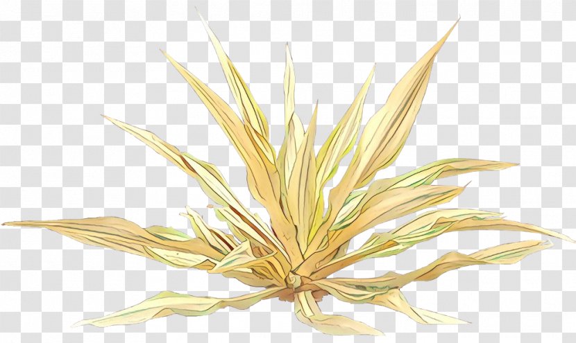 Grasses Commodity - Flower Transparent PNG