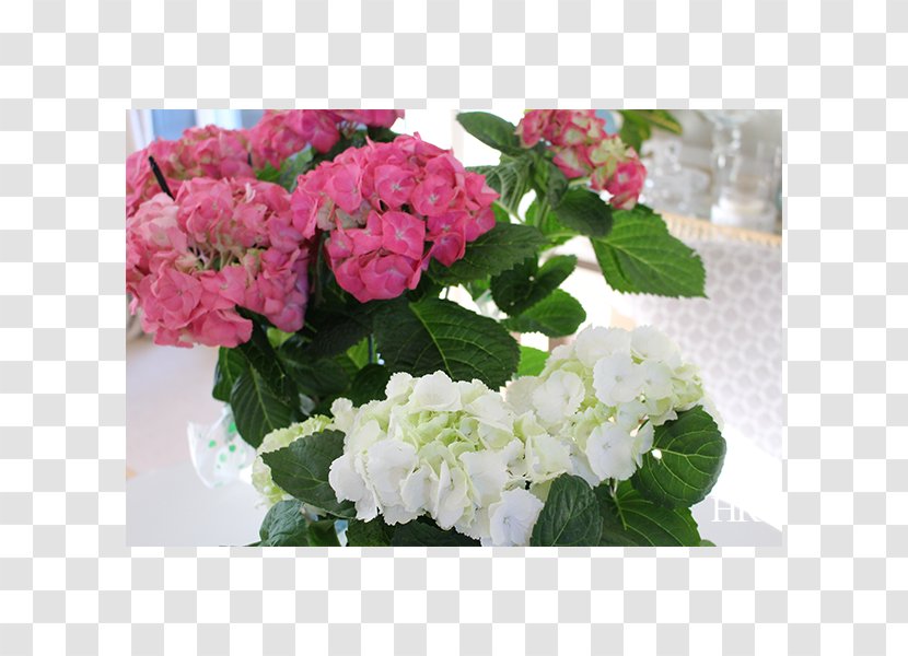 Hydrangea Cut Flowers Floristry Floral Design - Flowerpot Transparent PNG