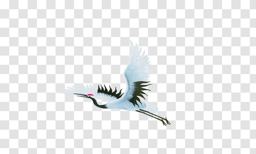 China Bird Chinoiserie - Wing - Crane Transparent PNG