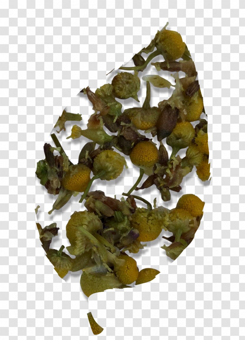 Tieguanyin Oolong - Chamomile Transparent PNG