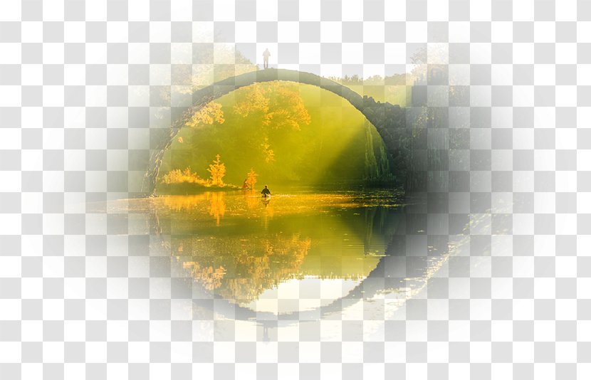 Desktop Wallpaper Computer Water Close-up - Yellow Transparent PNG