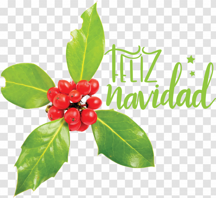 Feliz Navidad Merry Christmas Transparent PNG