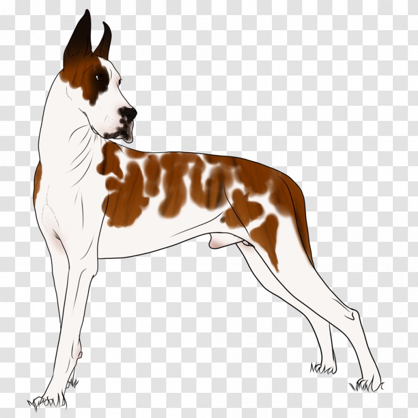 Dog Breed English Foxhound Ibizan Hound Companion - Horse Lords Transparent PNG