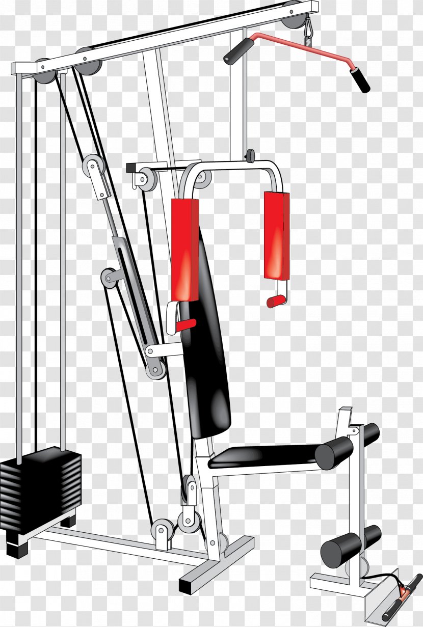 Wedding Invitation Fitness Centre Physical Exercise Equipment - Vector Products Transparent PNG