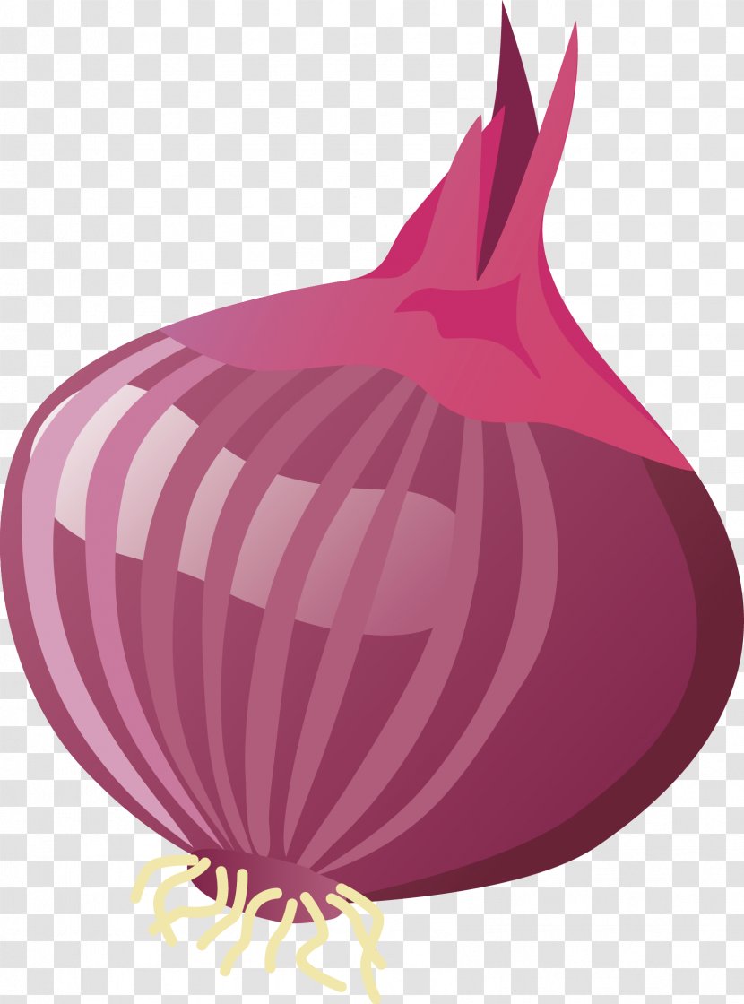 Yellow Onion Garlic - Vector Transparent PNG