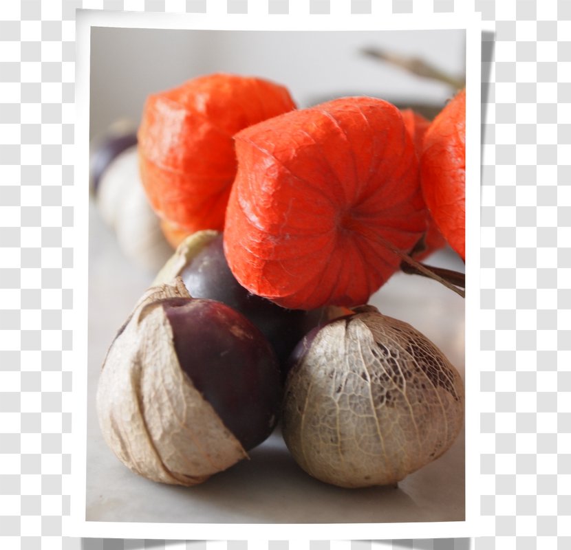 Winter Squash Vegetarian Cuisine Superfood Fruit - Food - Tomatillo Transparent PNG