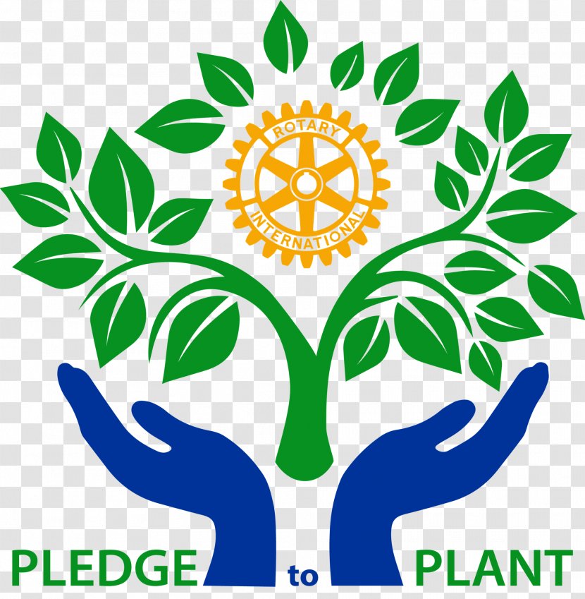 Symbol Nature Sign Logo - Knowledge Transparent PNG