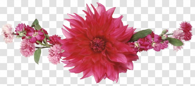 Floral Design Cut Flowers Wherever I Go Les Frères Lumières - Gerbera - Flower Transparent PNG