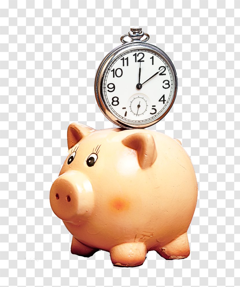 Piggy Bank - Suidae - Alarm Clock Money Handling Transparent PNG
