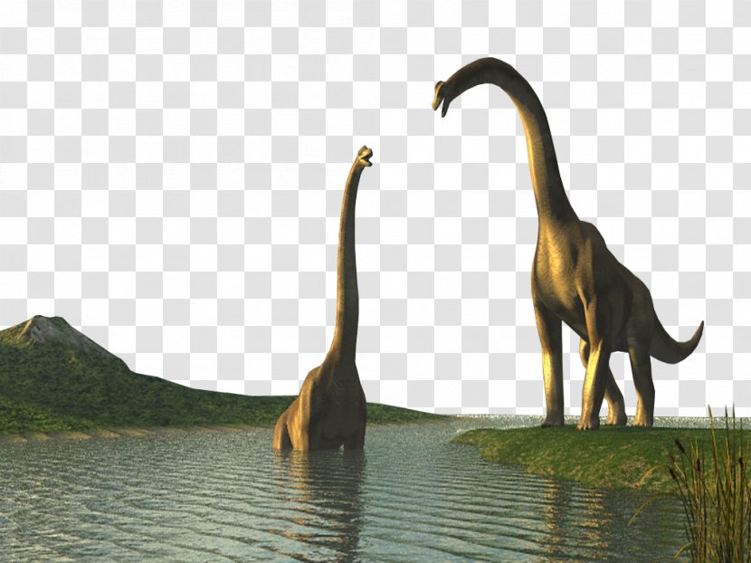 Dinosaur Wildlife Screenshot Advertising - Fauna Transparent PNG