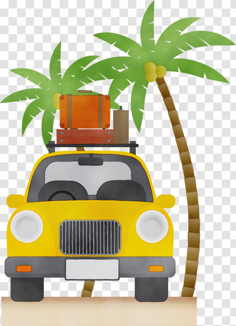 Palm Tree Background - Flexibility - Arecales Compact Car Transparent PNG