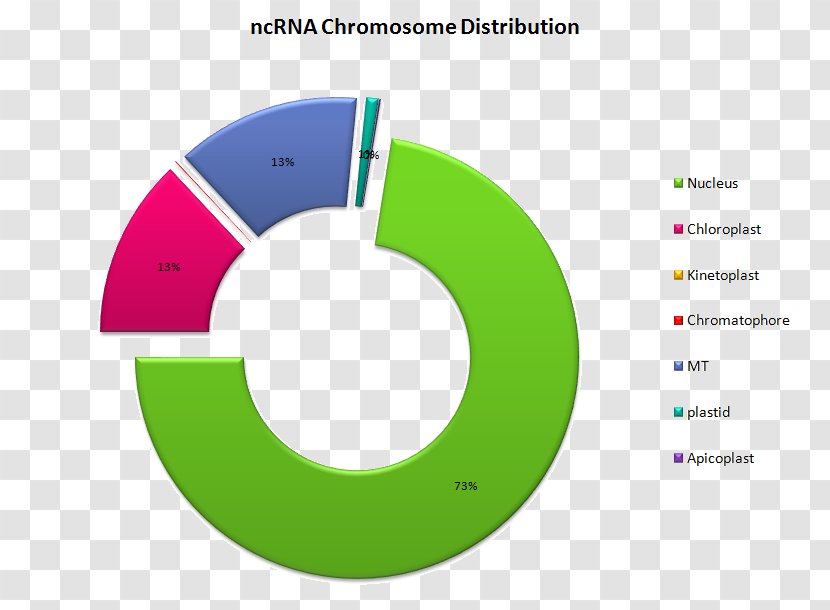 Long Non-coding RNA Copyright Supercomputing Facility For Bioinformatics And Computational Biology Gene - Green Transparent PNG