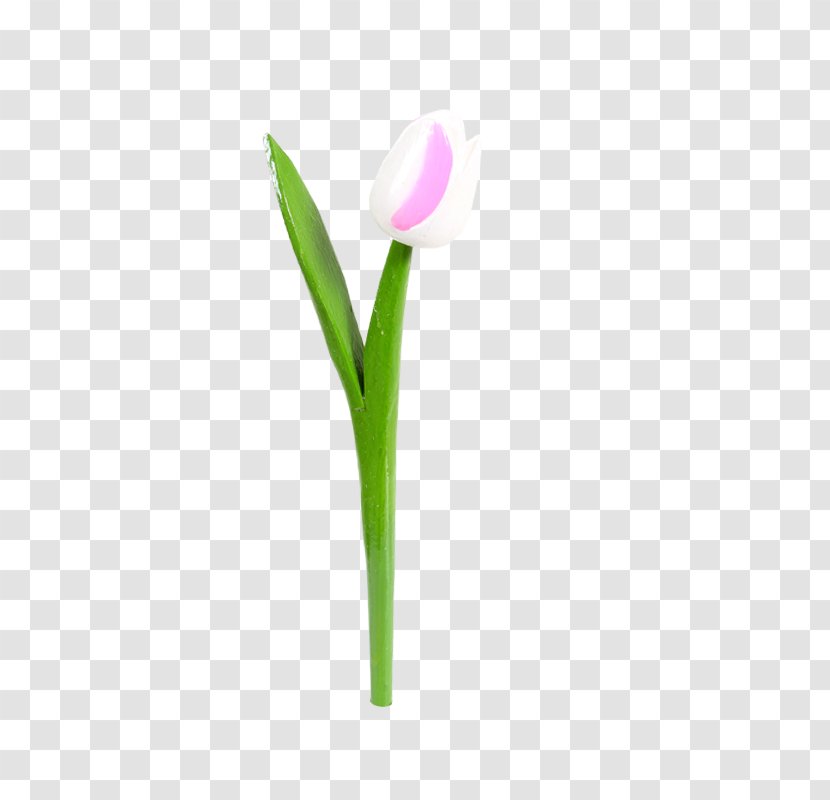 Flowering Plant Tulip Cut Flowers - White Transparent PNG