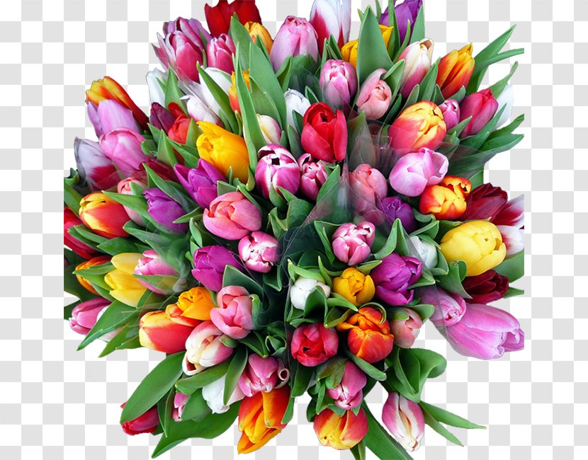 Flower Netherlands Tulip Woman Birthday - Bouquet Transparent PNG