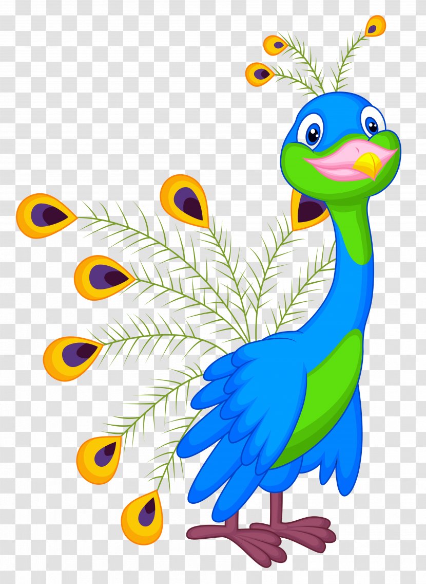 Bird Peafowl Clip Art - Drawing - Peacock Transparent PNG