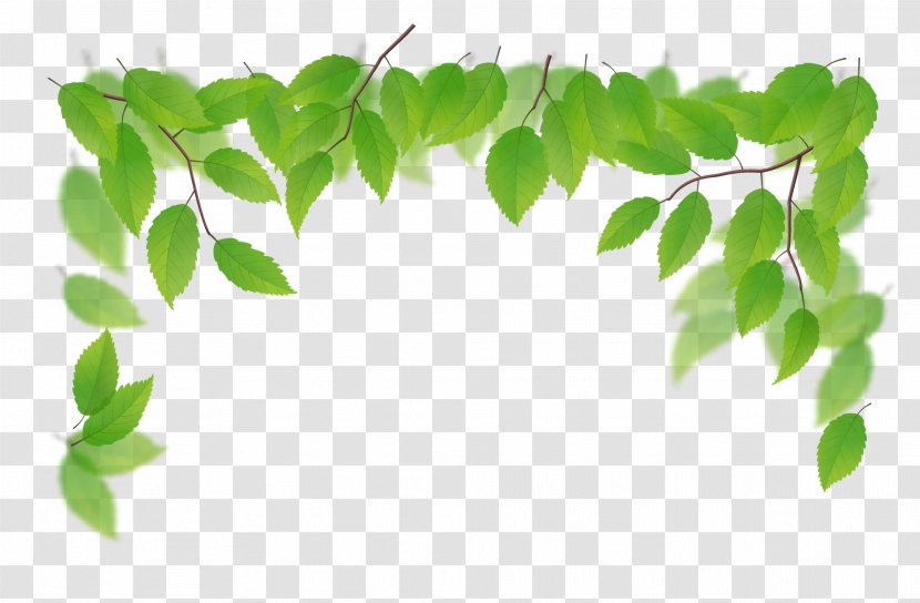 Green Illustration - Branch - Green, Fresh Grass Transparent PNG