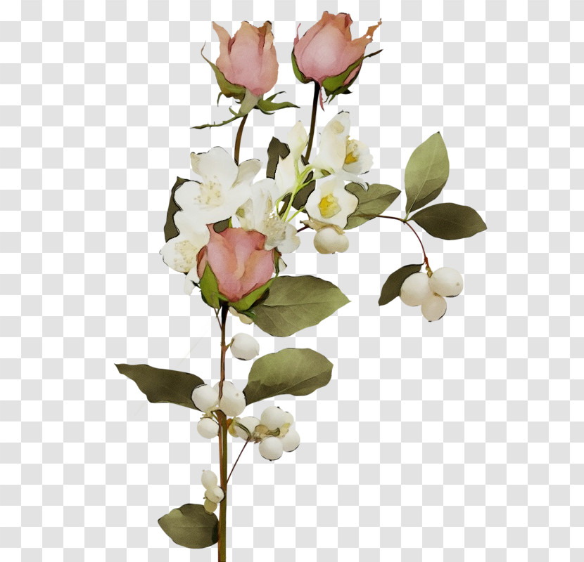 Garden Roses Transparent PNG