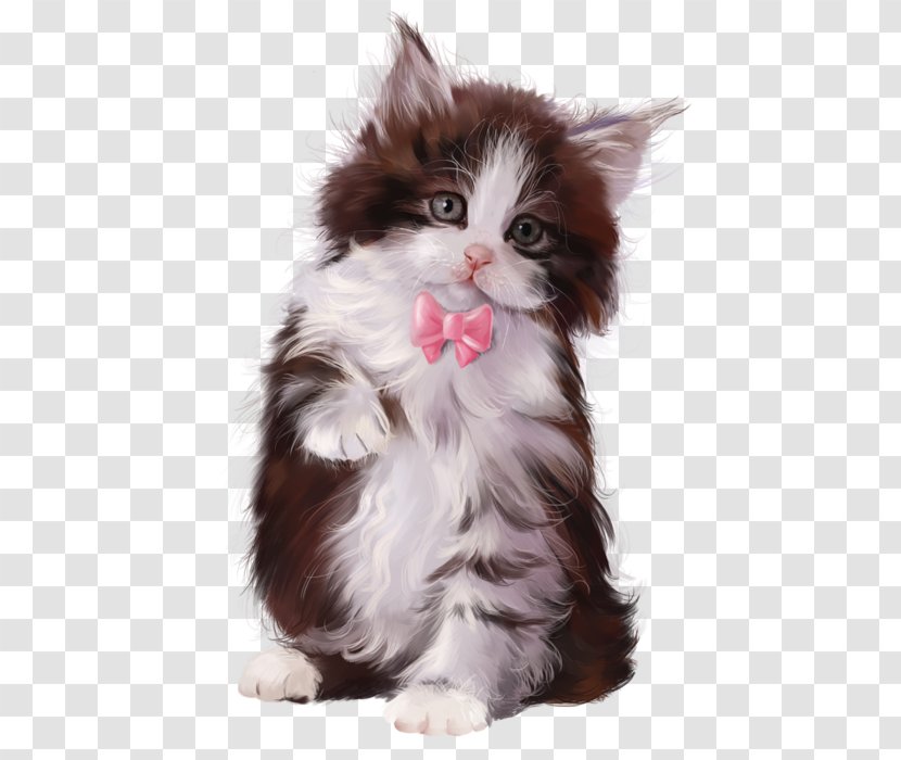 Kitten Cat Toy Poodle Puppy - Chaton Transparent PNG
