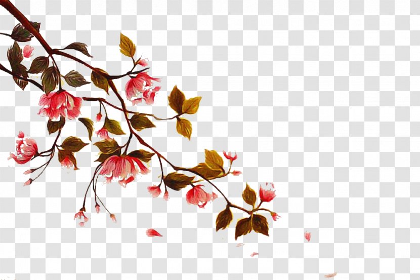 Cherry Blossom Tree - Leaf - Spring Transparent PNG