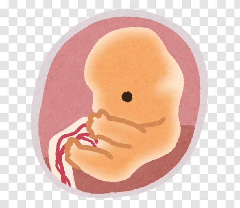 Cancer Pregnancy Fetus Birth Child - Childbirth - Taiji Transparent PNG