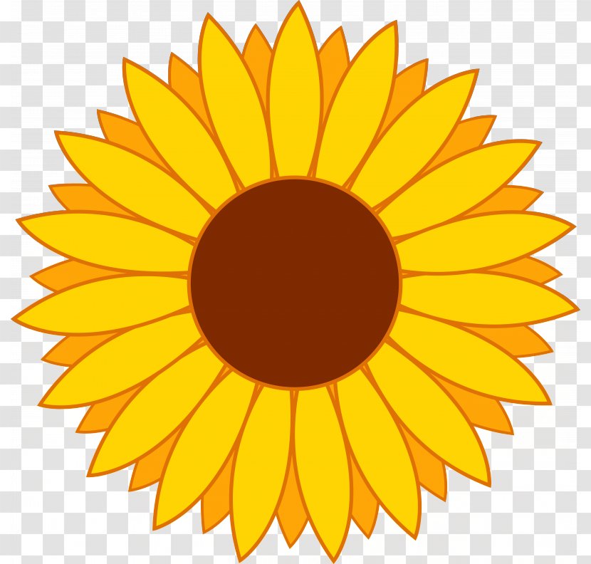 Common Sunflower Free Content Clip Art - Cut Flowers - Christian Clipart Transparent PNG