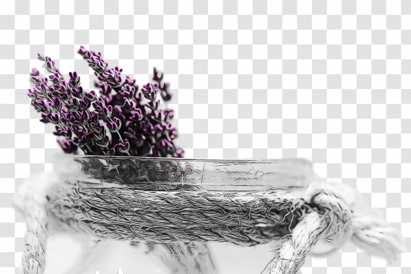 Purple Transparent PNG