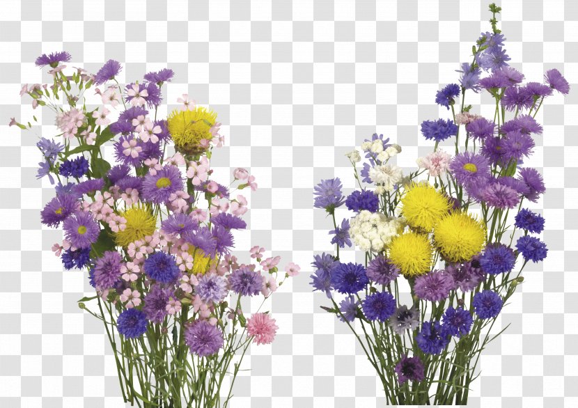English Lavender Cut Flowers Overlay - Violet Family - Real Flower Transparent PNG