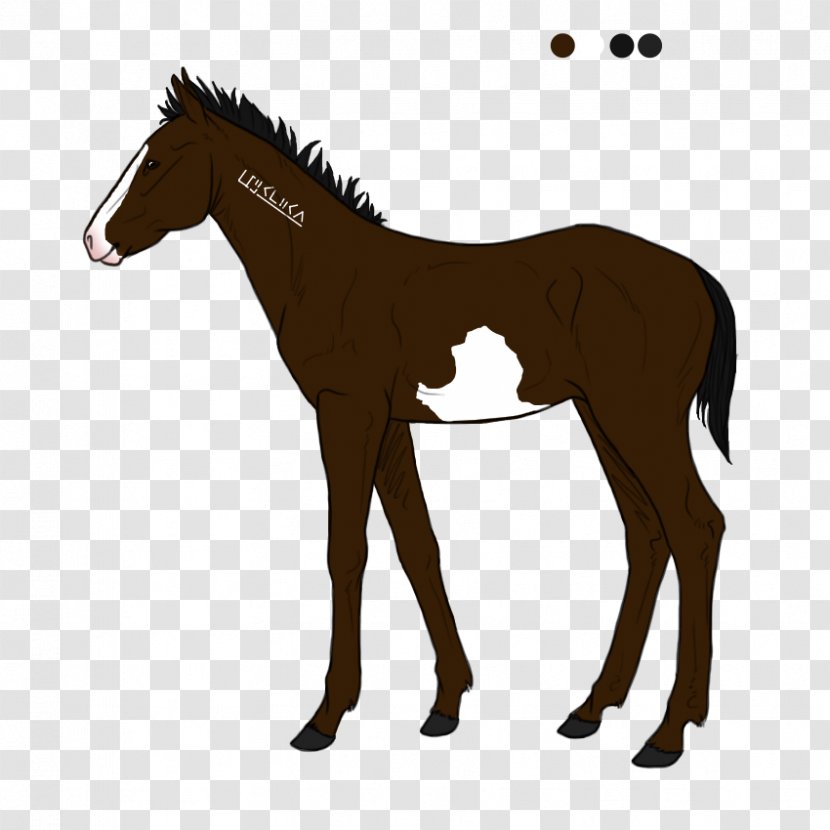 Mustang Biri Travbane Foal Pony - Pack Animal Transparent PNG