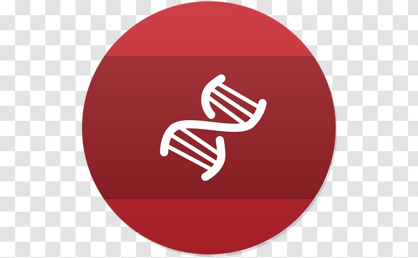 DNA Nucleic Acid Double Helix Genetics Biology Biotechnology - Senior High School Entrance Examination Transparent PNG