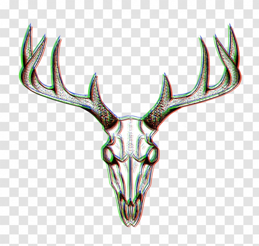 Reindeer Elk Antler Wildlife Transparent PNG