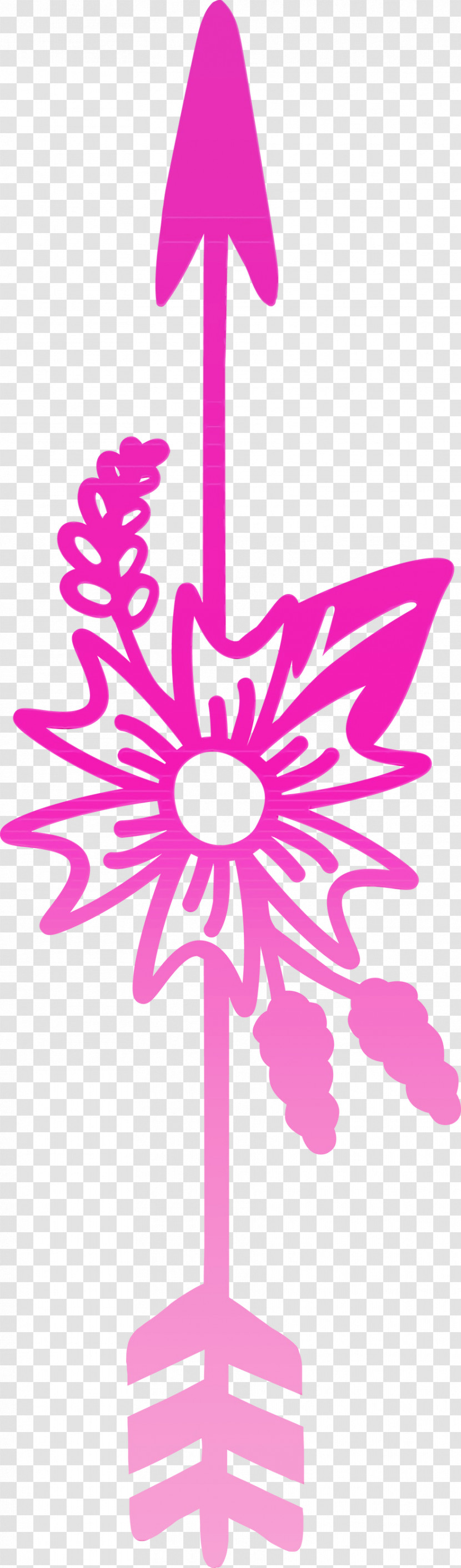 Pink Magenta Plant Petal Flower Transparent PNG