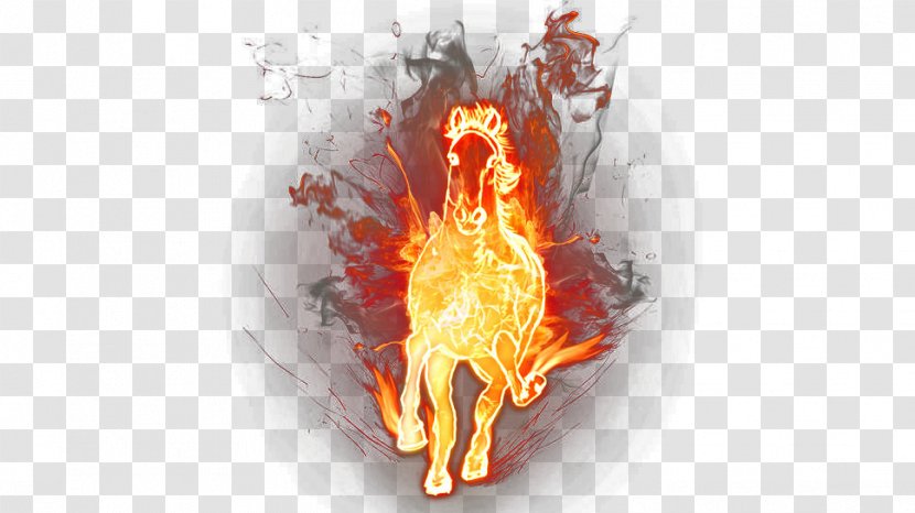 Horse Flame Fire Download - Heat Transparent PNG
