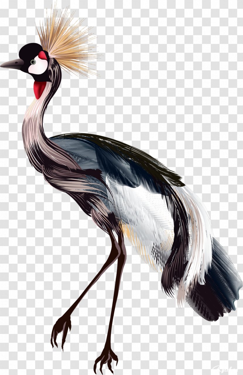 Crane Bird Drawing Watercolor Painting - Birds Transparent PNG