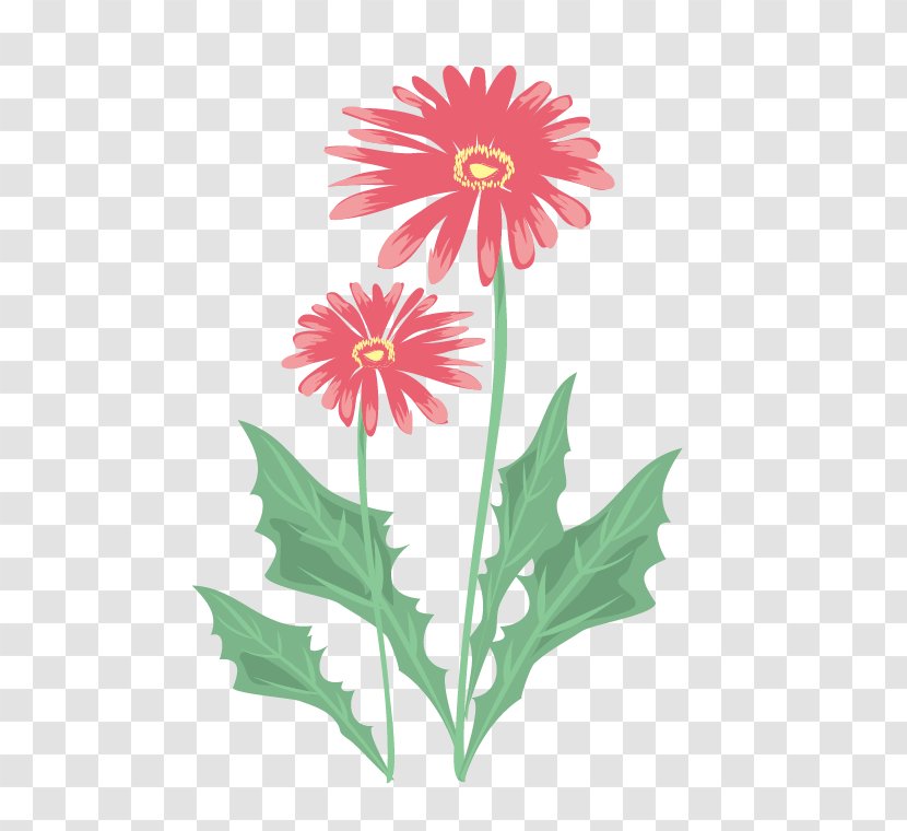 Flower CorelDRAW - Seed Plant - Vector Floral Flowers Transparent PNG