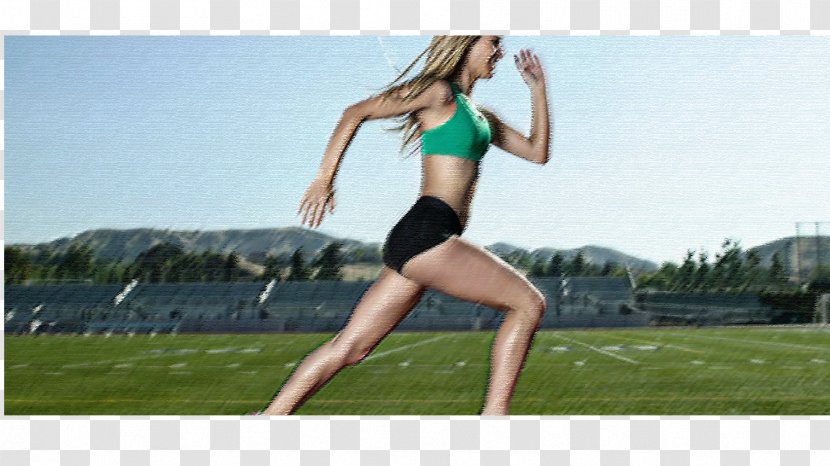 Running Fartlek Exercise Athlete Sport - Flower - 2017 Deutsche Tourenwagen Masters Transparent PNG