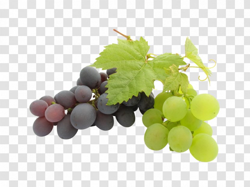 Kyoho Wine Grape Seed Oil - White Grape,grape Transparent PNG