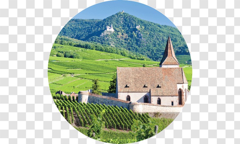 Vosges Alsace Wine Lorraine Colmar - France Transparent PNG