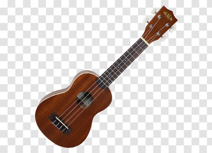 Kala Satin Mahogany Soprano Ukulele KA-C Concert Musical Instruments - Tree Transparent PNG